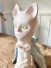 画像9: みか　「猫のシロ」