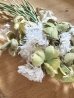 画像4: ピンクロゼッタ | しろつめくさブーケ(ホワイト)2 (4)