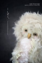 【告知】HARU BEAR作品展 | 「しずく、」