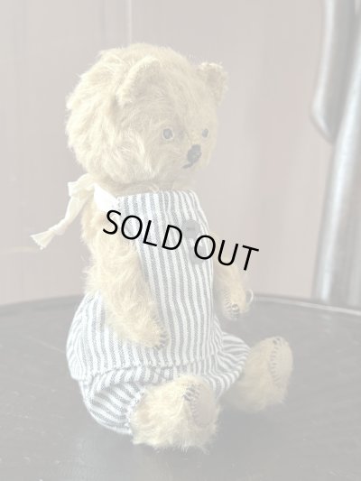 画像6: HARU BEAR 「コノコ」(ストライプ)